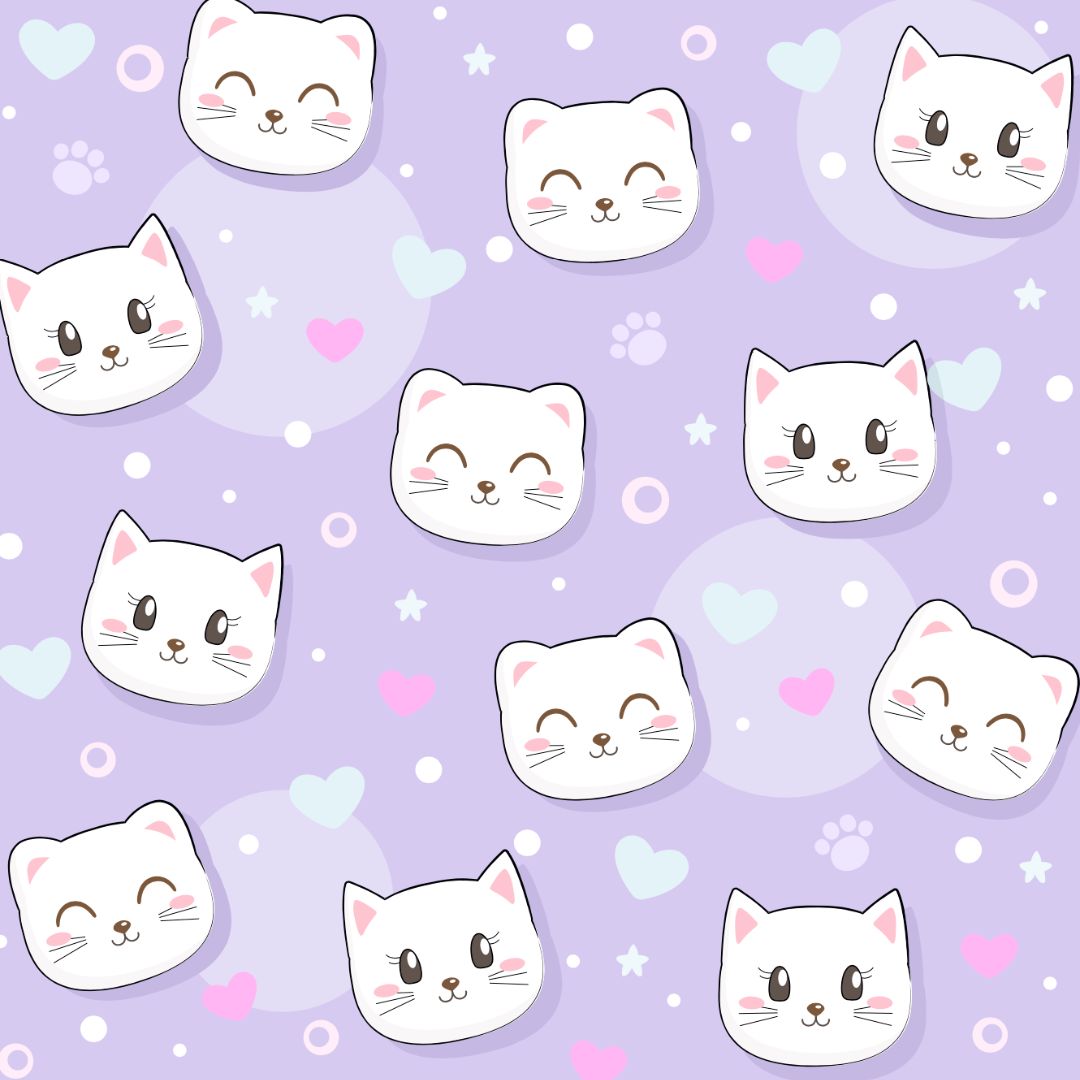 Cat's Meow 2 Piece Set